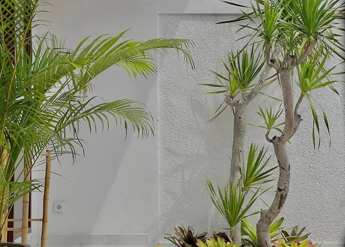 别墅 Location! 2br Villa, 5 Mins To & Hotspots